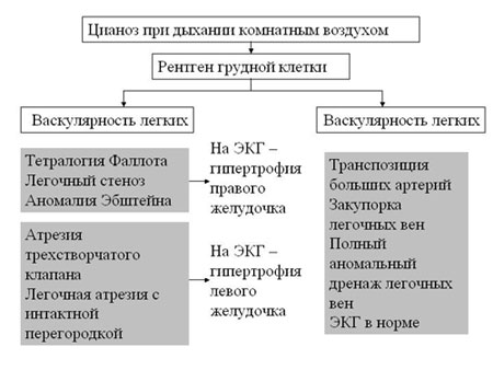 Школа ИТ новорожденных: Теоретические основы - Нарушения  сердечно-сосудистой системы (Часть 3)