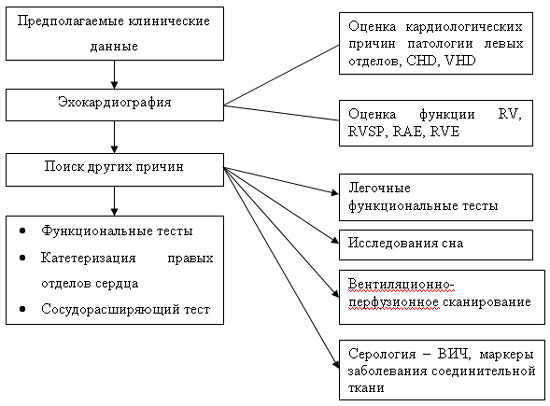 президентская диета