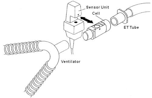 riis2.gif (22878 bytes)